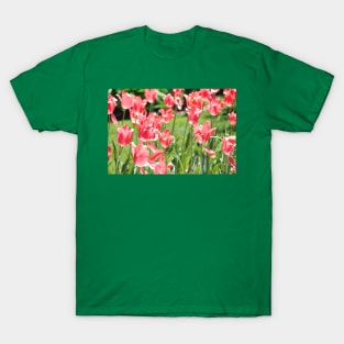 Mother Natures gifts T-Shirt